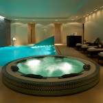 Modrzewie Park Hotel *****